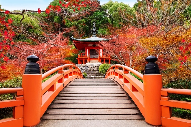秋の紅葉も 雪化粧も 両方楽しめる京都のスポット5選 Pintrip